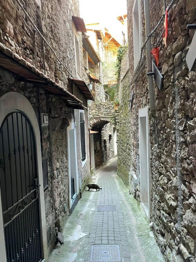 Casa Venezia In Airole, Liguria, Italy Villa ภายนอก รูปภาพ
